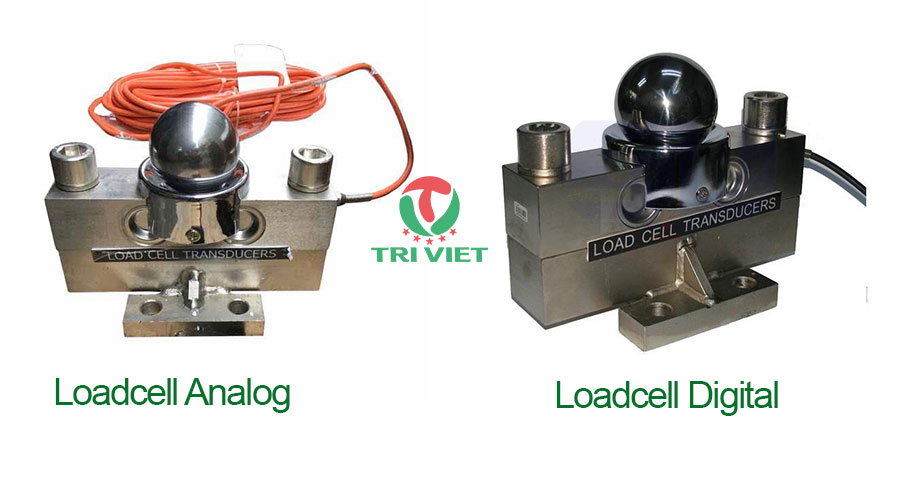 Loadcell analog với loadcel digital